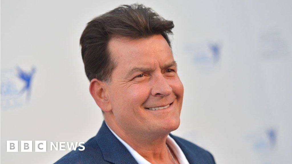 Charlie Sheen attacked by woman at his Malibu home -police