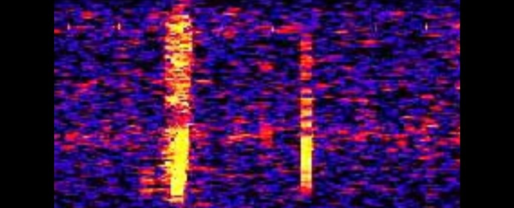 Decades Ago a Huge Noise Roared in The Ocean For Years It Was a Mystery ScienceAlert