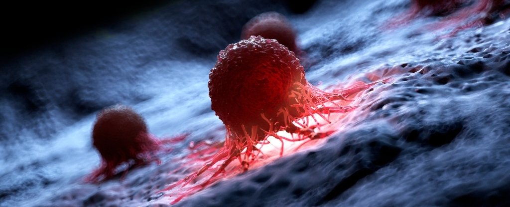 Scientists Destroy 99% of Cancer Cells in The Lab Using Vibrating Molecules : ScienceAlert