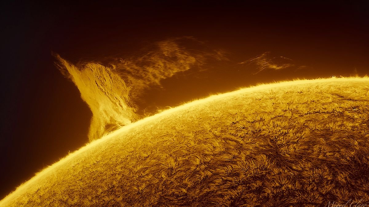 closeup shot of the sun