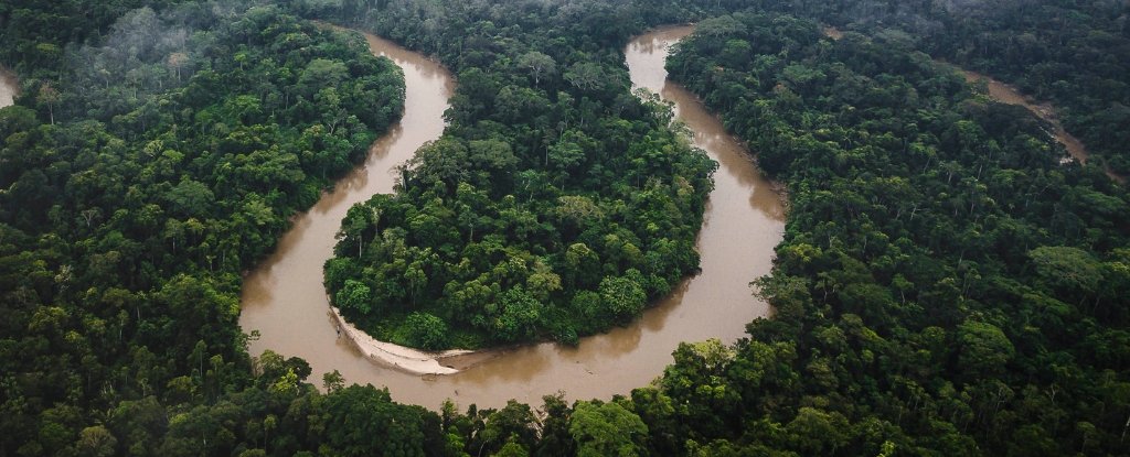 Cluster of Ancient Lost Cities in The Amazon Is The Largest Ever Found ScienceAlert