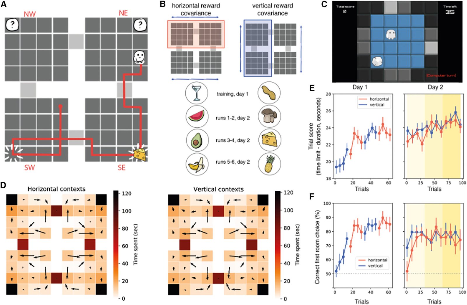 Cognitive maps in some brain regions are compressed during goal seeking decision making