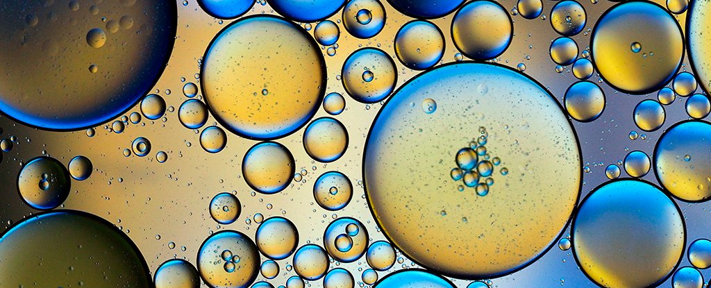 Critical Enzyme For Breaking Down Fat Byproducts Slows The Aging Process : ScienceAlert