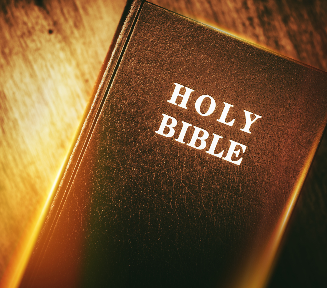 Daily Bible Reading – January 15, 2024