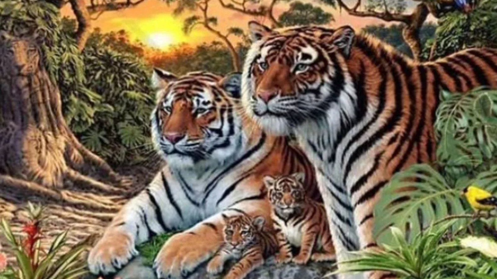 Everyone can see the tigers but you have 2020 vision if you can spot their 12 relatives in the illusion in 22 seconds