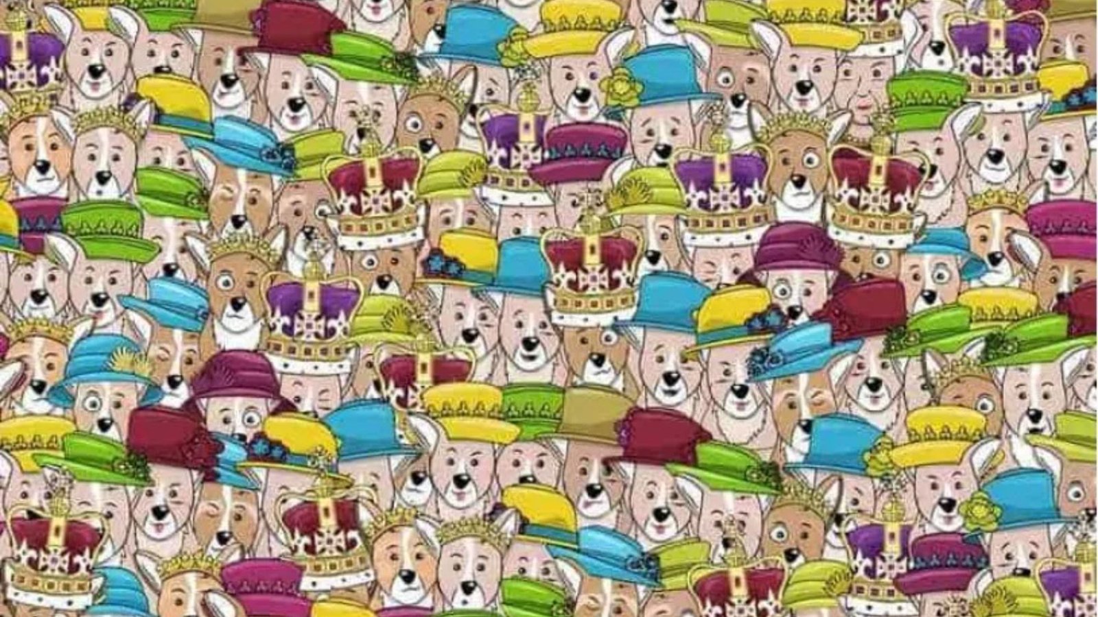 Everyone can spot the cute corgis but you need 20/20 vision to find the Queen in under 7 seconds – can you manage?