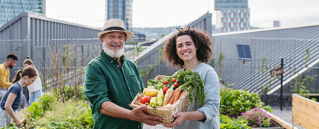 Growing Fruit And Veg In Urban Farms Isn’t The Green Choice We Imagine : ScienceAlert