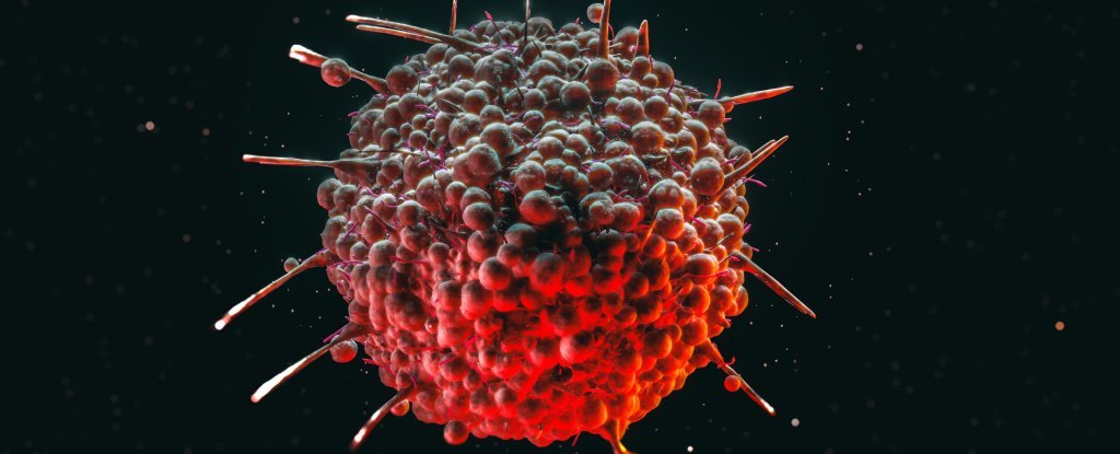 Hepatitis Treatment Prevents The Progress of a Common Blood Cancer : ScienceAlert