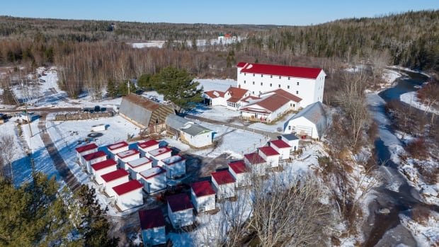 Homeless people from Moncton find fresh start, addiction recovery at rural farm