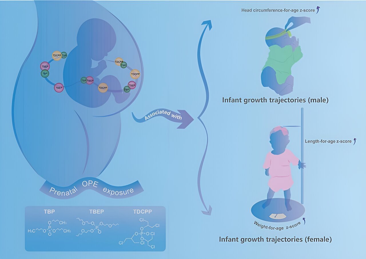 How prenatal chemical exposure shapes child development
