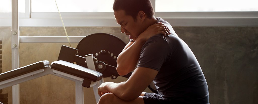 Lactic Acid Isn’t Making Your Muscles Sore. Here’s What’s Really Behind It. : ScienceAlert