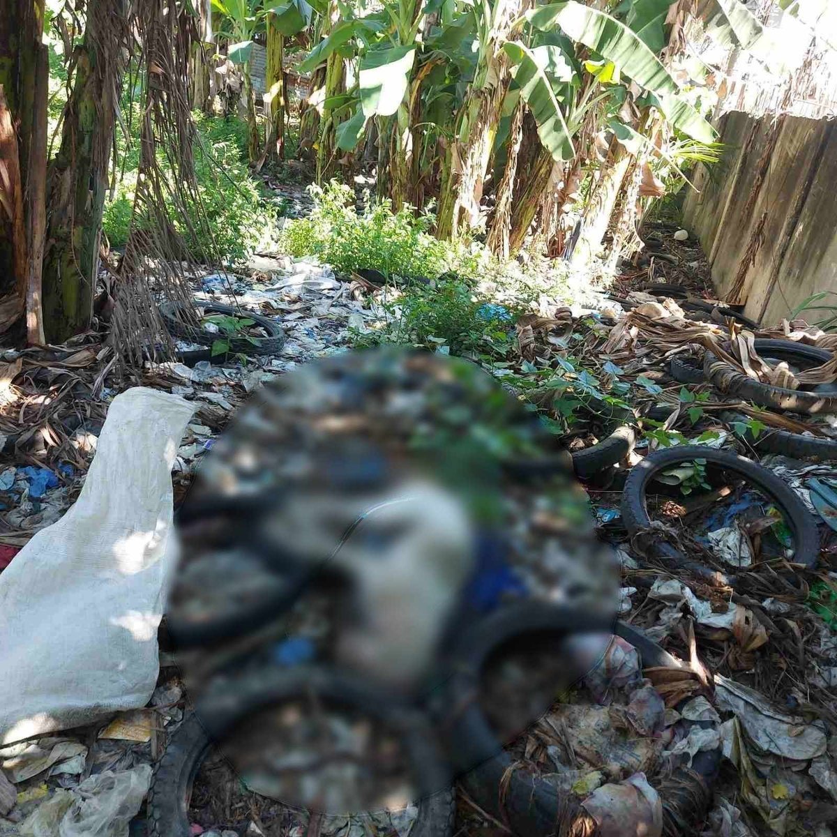 Mandaue City Police Investigates Gruesome Killing of Stray Dog