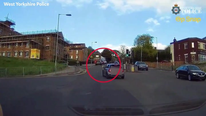 Moment dog and owner nearly get run over by speeding driver | News