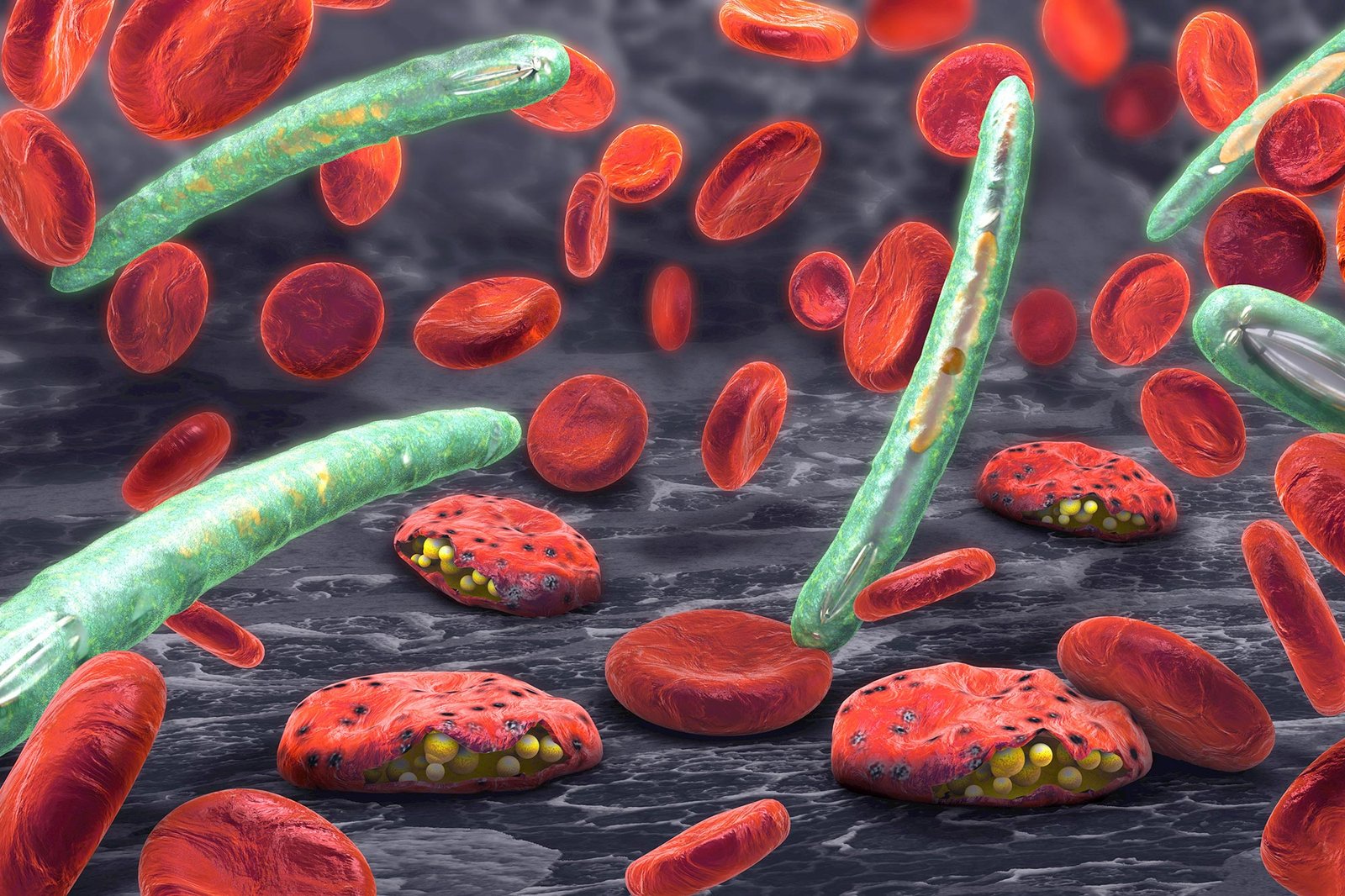 Newly Discovered Malaria Parasites Evade Detection and Treatment