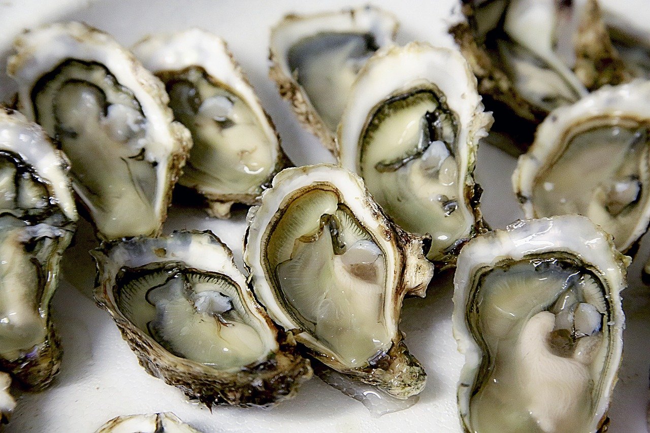 Over 200 Cases Reported; Officials Warn To Avoid Eating Raw Oysters From Mexico