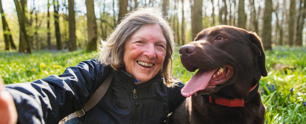 Pets Appear to Slow Cognitive Decline in Older People Who Live Alone : ScienceAlert