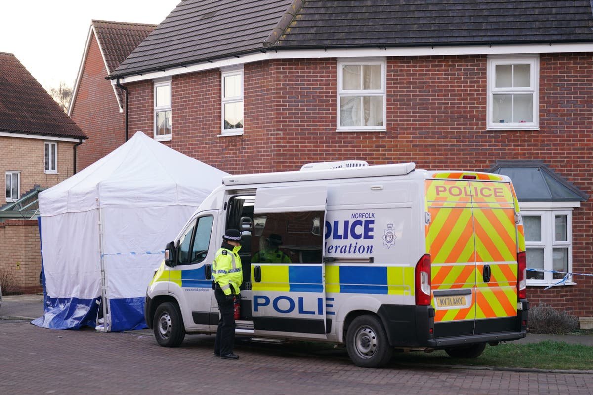 Police treating deaths of woman and two children at house in Costessey as murder