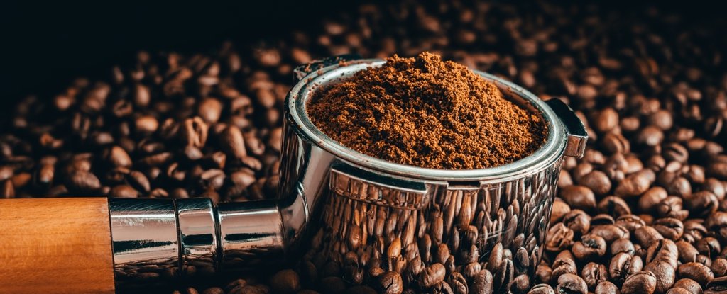Scientists Discover An Amazing Practical Use For Leftover Coffee Grounds ScienceAlert