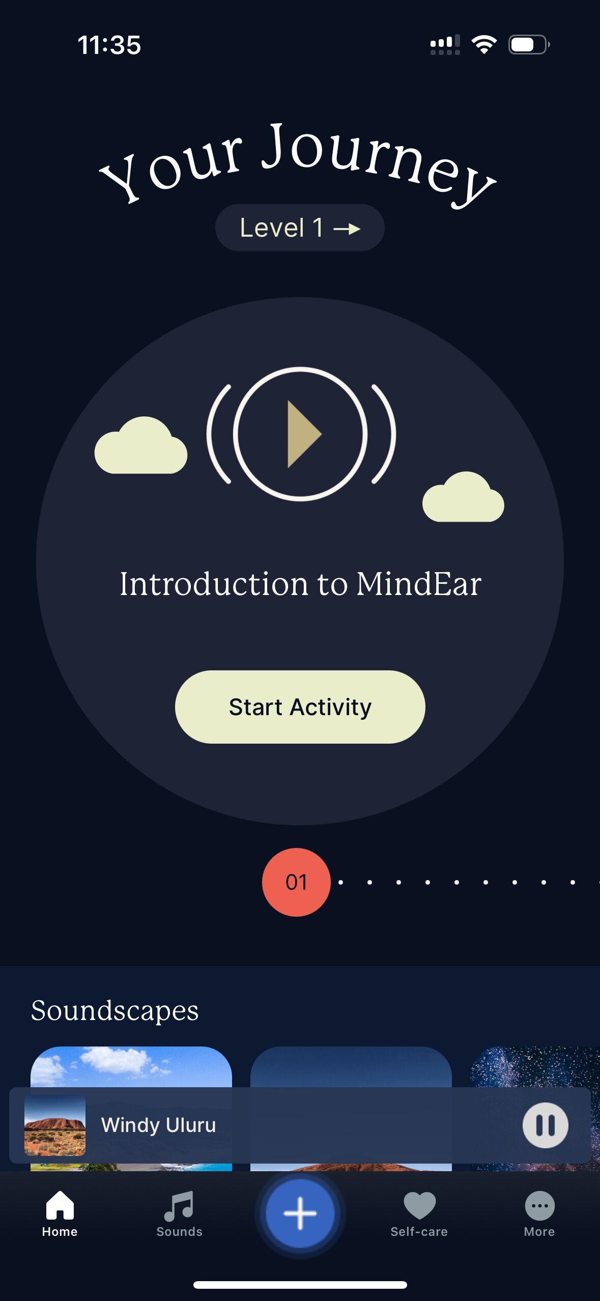 Team develops app to help train the brain to overcome tinnitus