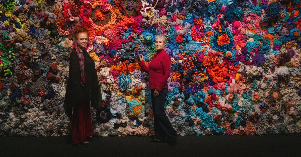The Crochet Coral Reef Keeps Spawning Hyperbolically