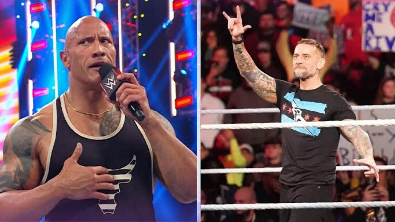 The Rock is back. CM Punk is back