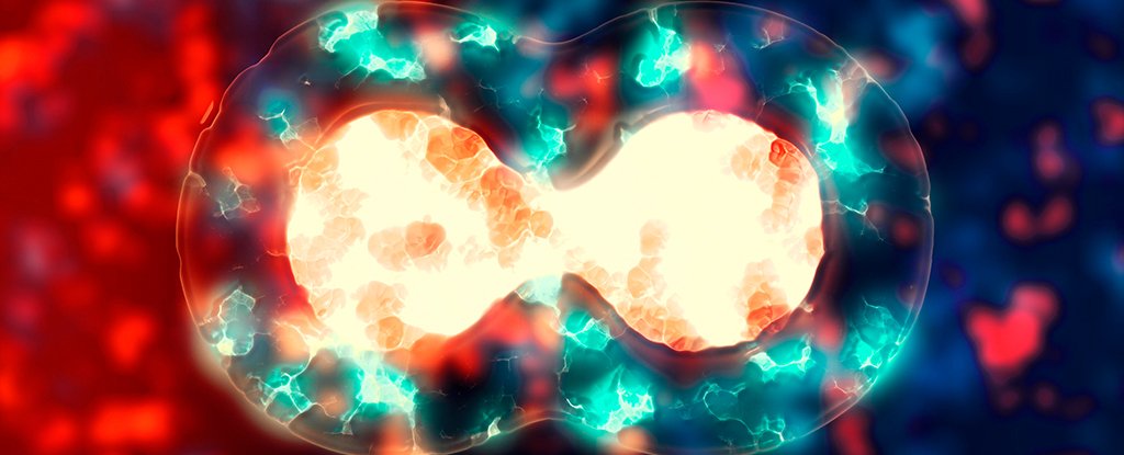 The Seeds of Schizophrenia Could Be Planted in The Earliest Moments of Life : ScienceAlert