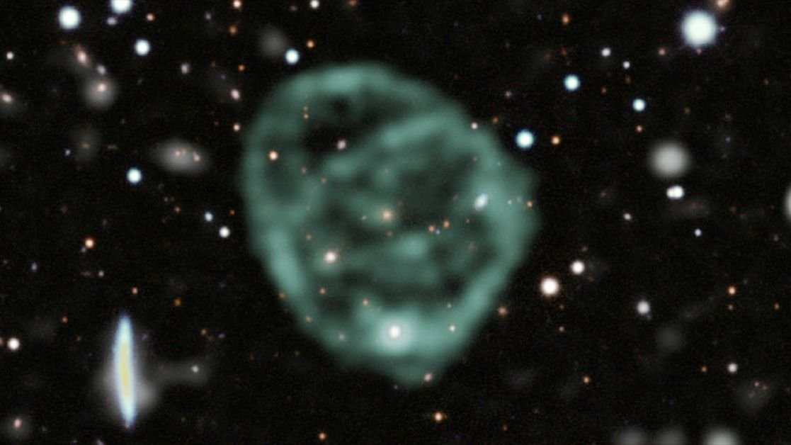 The ‘cosmic ORCs’ mystery of odd radio circles that encompass entire galaxies may be solved