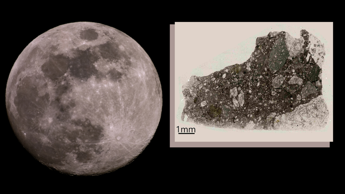 Left a striking image of the moon right a lunar meteorite sample