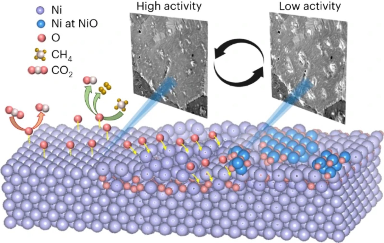 The pros and cons of oxygen mediating the performance of nickel catalysts in dry reforming of methane