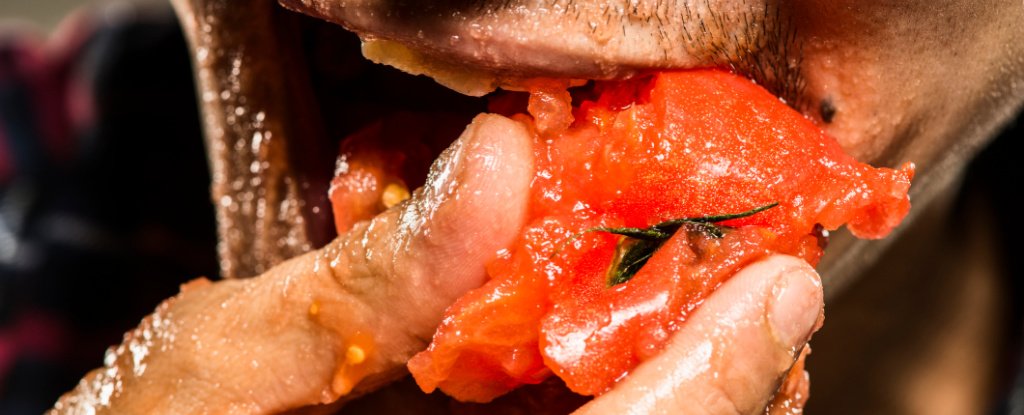 Tomato Juice Can Kill Salmonella, The Bacteria That Terrorizes Our Guts : ScienceAlert