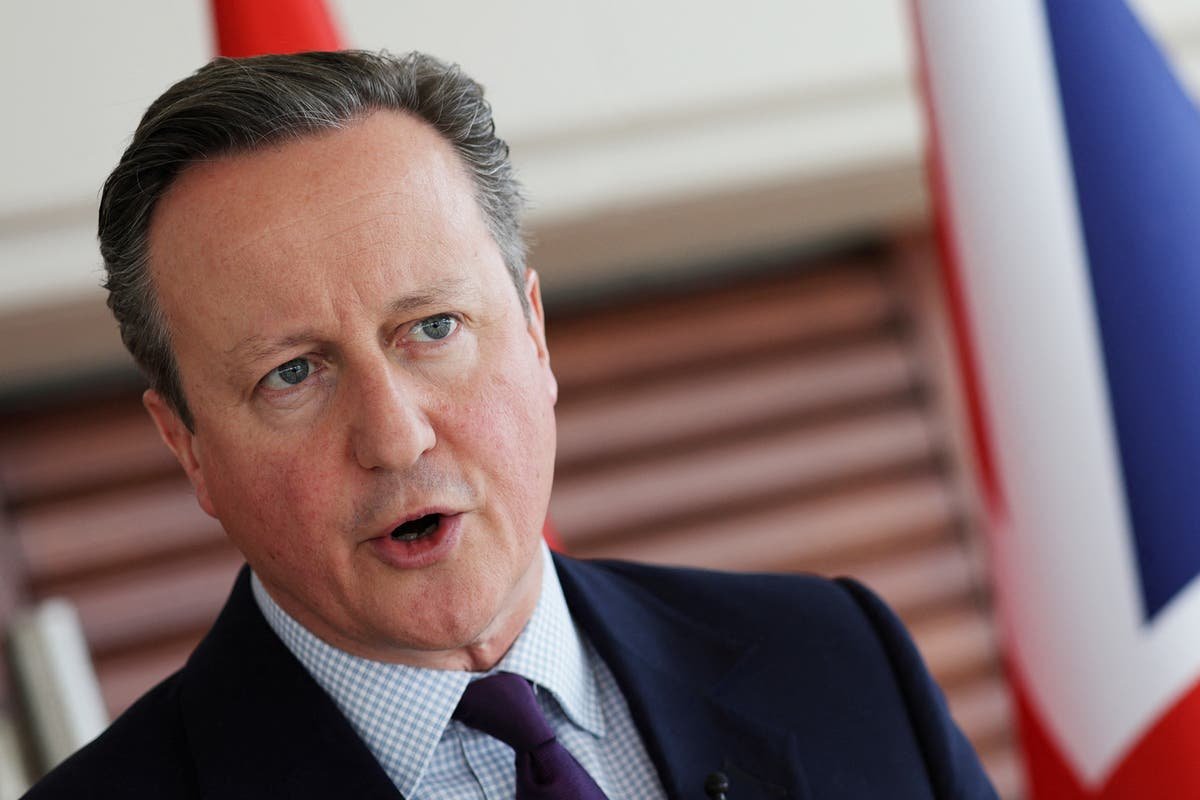 Tory backlash after Cameron calls for Palestinian state to end Gaza conflict
