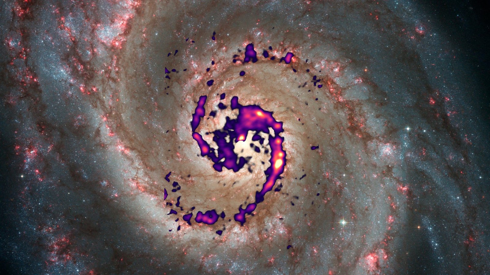 Unraveling the Mysteries of Star Creation in the Whirlpool Galaxy