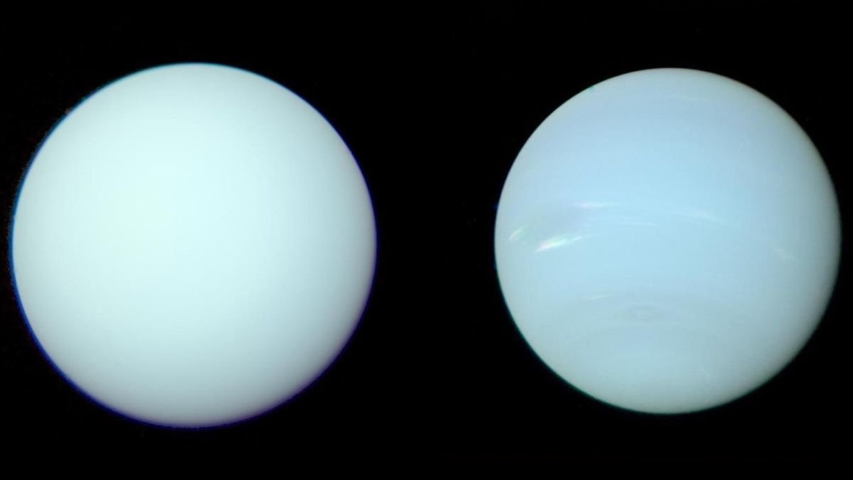 An image of Uranus on the left and Neptune on the right They look almost indiscernible as they