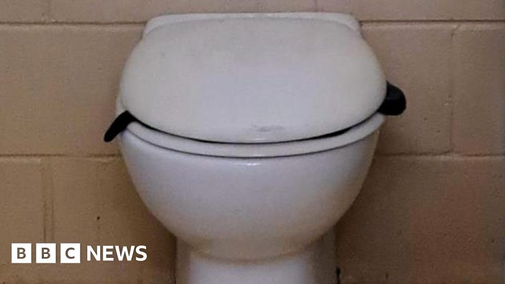 Watch Venomous snake found lurking in public toilet in Australia