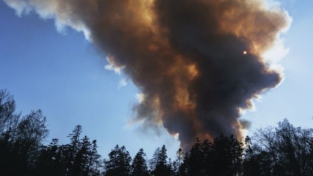 Wildland firefighters call on Ontario to acknowledge risks linked to toxin exposure