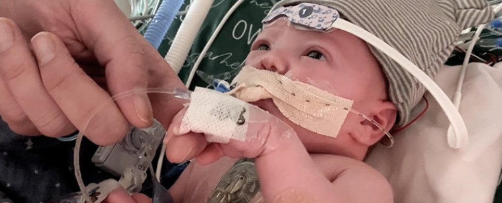 World First Partial Heart Transplant Is Growing With a Baby ScienceAlert