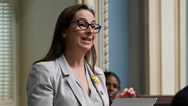 After 5 miscarriages and a stillbirth Quebec MNA draws attention to perinatal loss