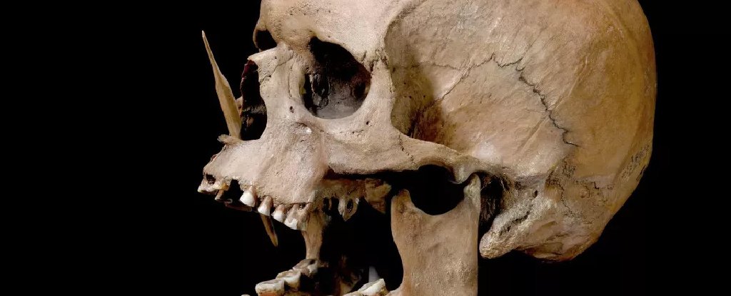 Ancient DNA Reveals a Tragic Genocide Hidden in Humanitys Past ScienceAlert