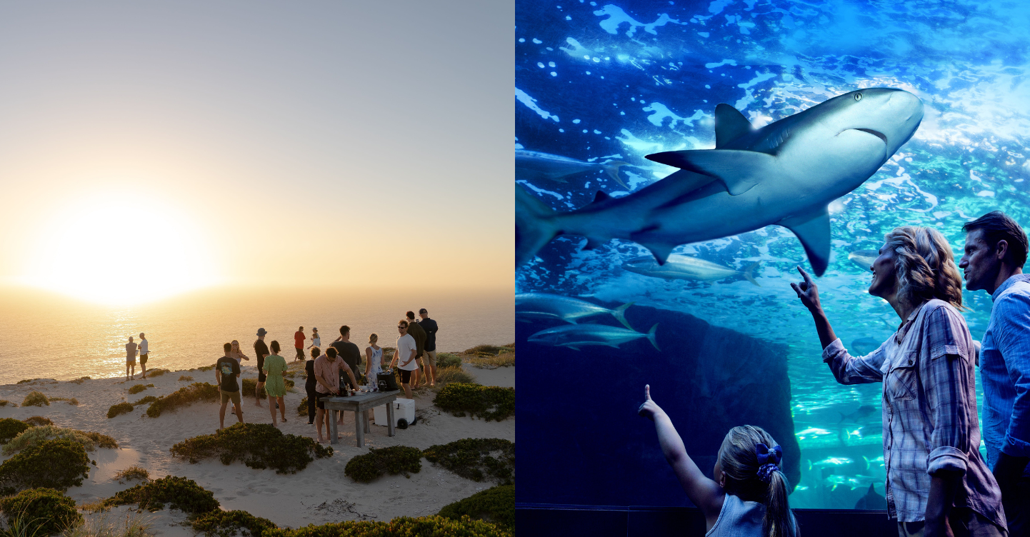 Australia Travel Guide: 10 Exciting Family-Friendly Activities You Should Experience