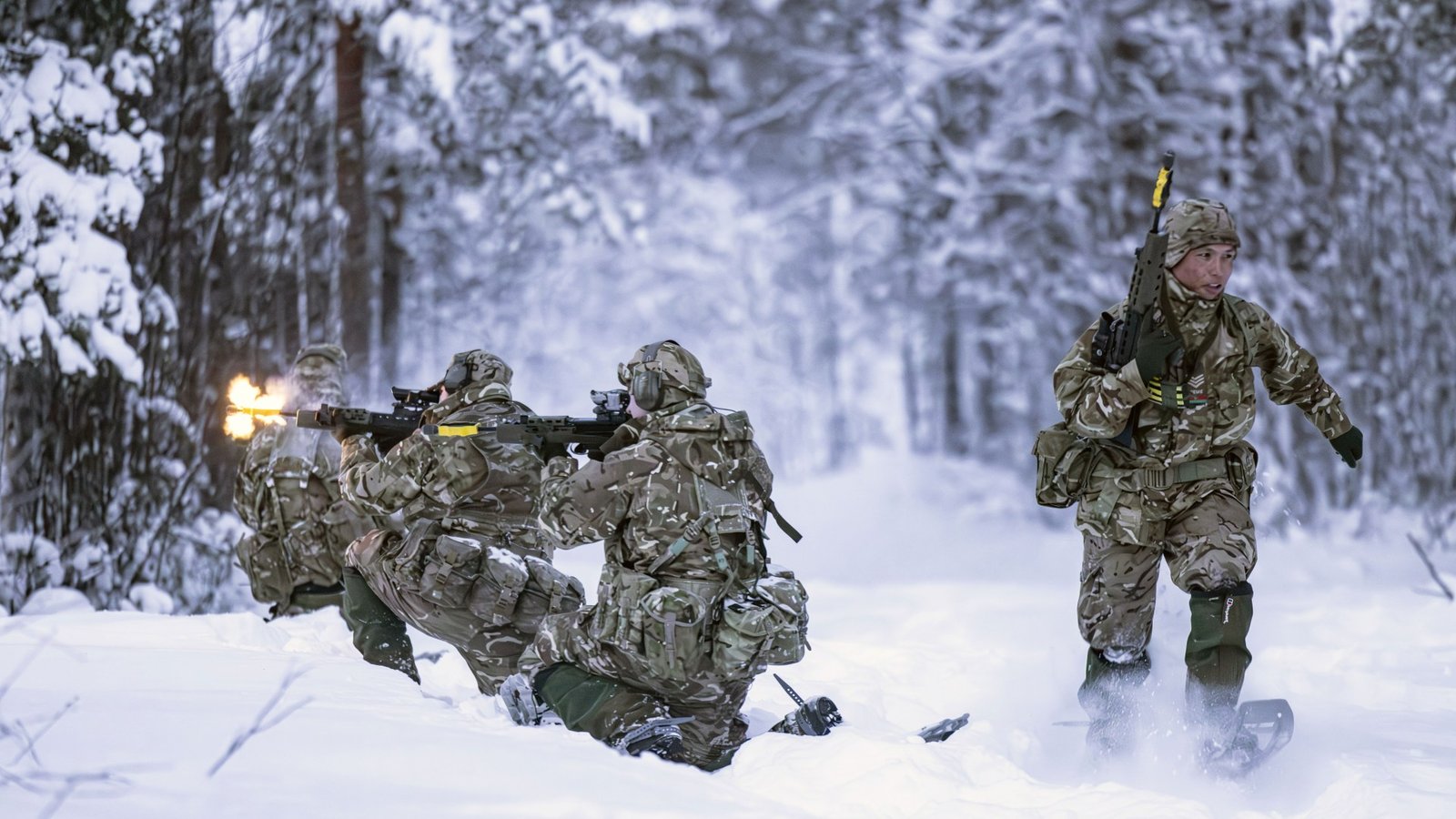 British troops train in Norwegian snow as they prepare for war in the Arctic