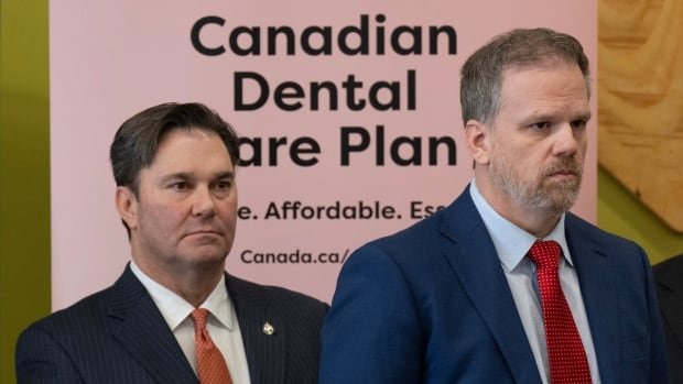Coverage of birth control, diabetes medication part of Liberal-NDP pharmacare talks
