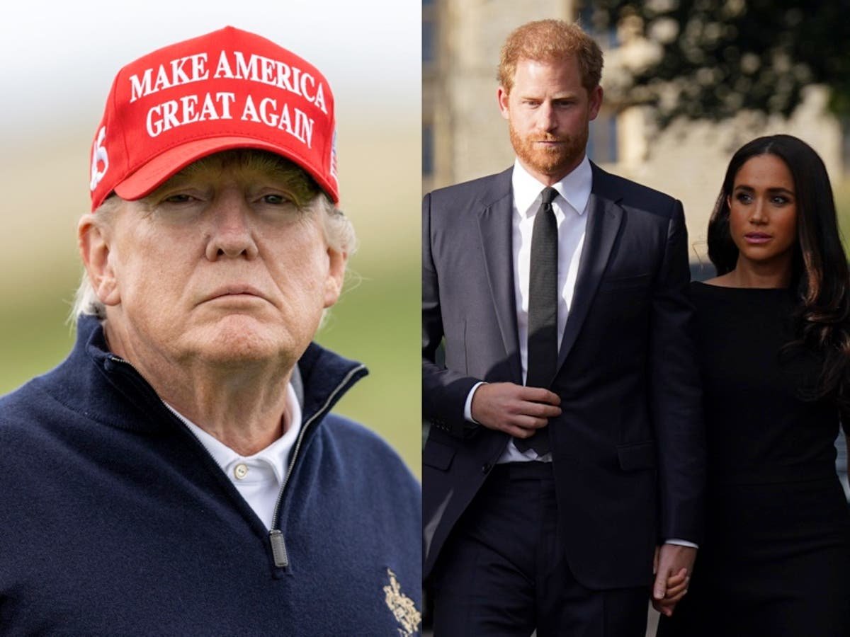Donald Trump says Prince Harry would be on his own if he becomes US president again