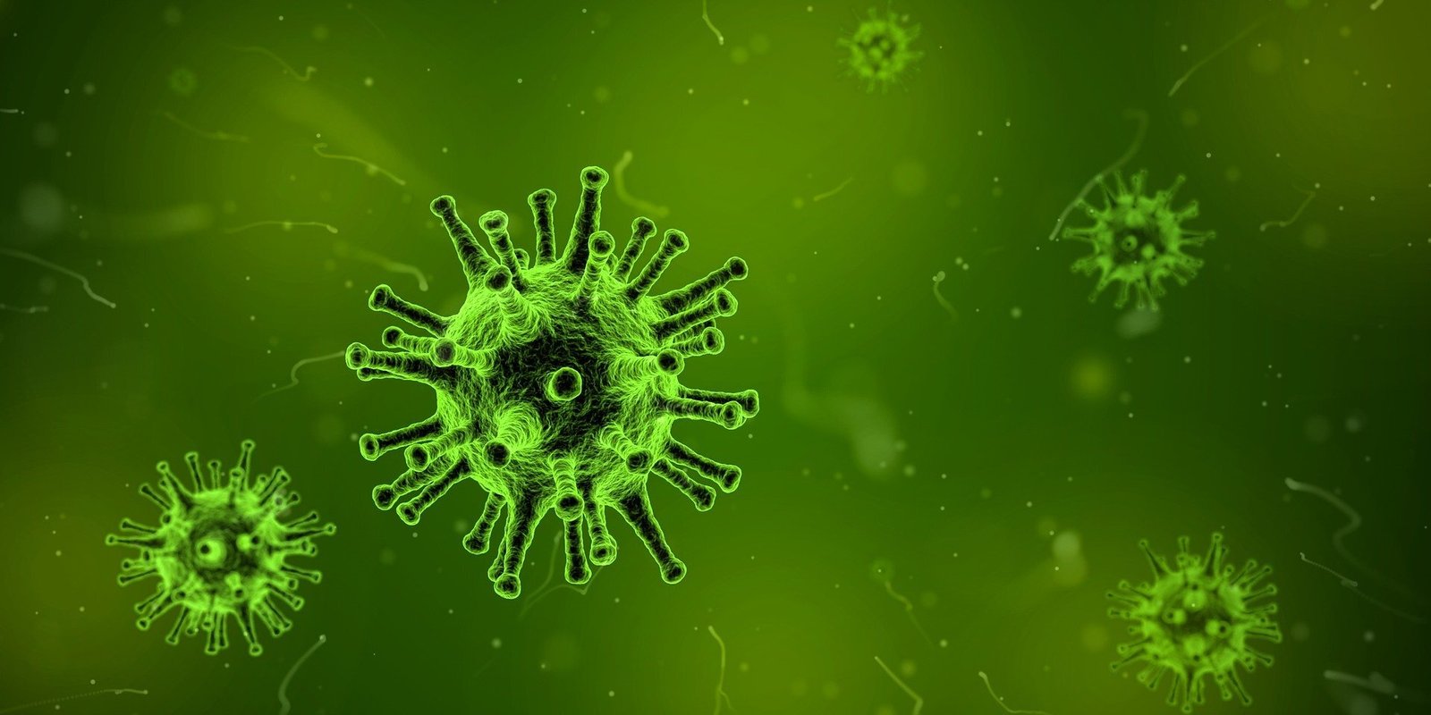 Elderly Alaska man is first reported person to die of recently discovered Alaskapox virus