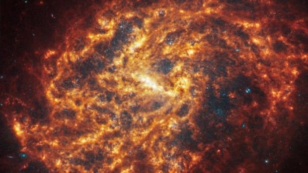 James Webb telescope provides new clues into the nature of our Milky Way galaxy