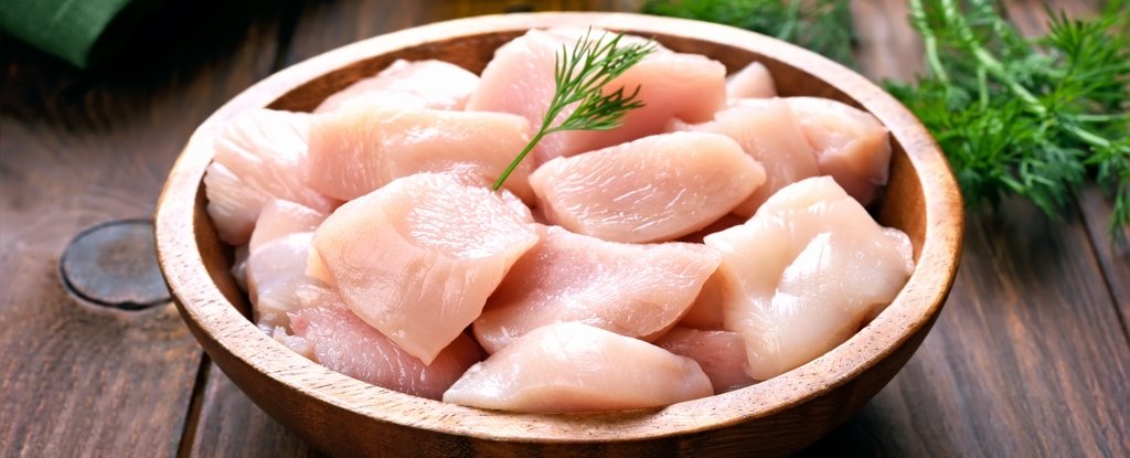 Man Eats ‘Potentially Deadly’ Raw Chicken For Weeks But Doesn’t Get Sick : ScienceAlert