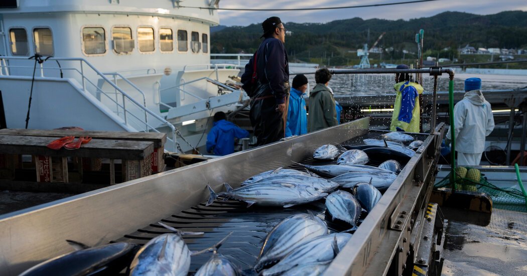 Mercury Pollution Is Falling but Not in Tuna This Might Be Why