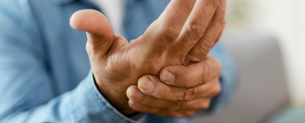 New Drug Might Halt Rheumatoid Arthritis in Those Most at Risk ScienceAlert