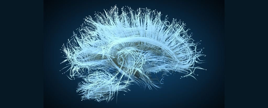 New ‘Prosthetic’ Hacks The Brain to Recall Specific Memories : ScienceAlert