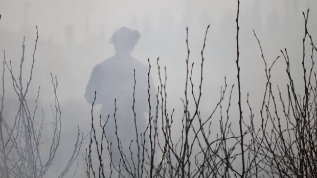 Ontario says its working on program addressing forest firefighter smoke exposure fears but union has doubts