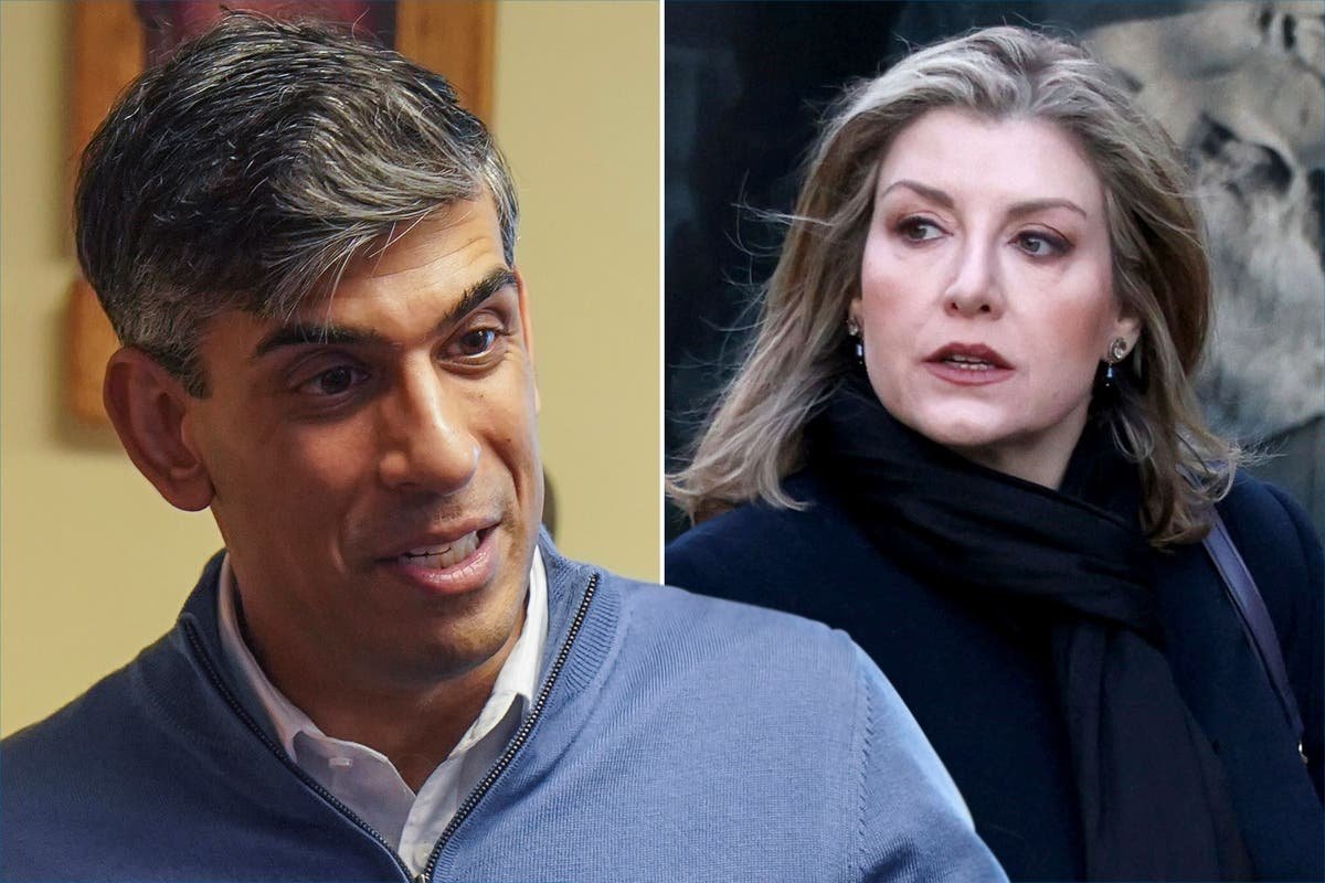 Penny Mordaunt takes aim at Sunak over trans row